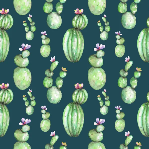Pola mulus dengan cat air berbagai jenis kaktus — Stok Foto