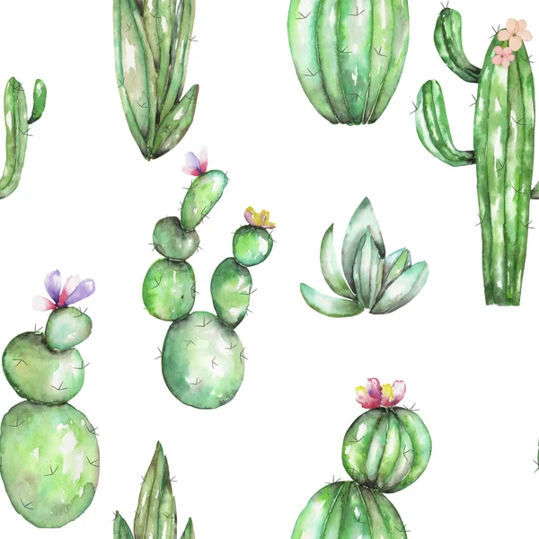 A seamless pattern with the watercolor various kinds of cactuses — Stock Photo, Image