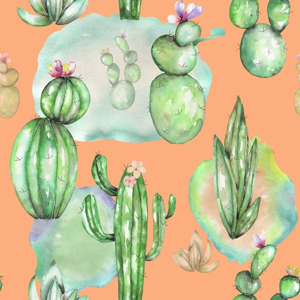 Płynny wzór z akwarelą różnego rodzaju kactuses — Zdjęcie stockowe