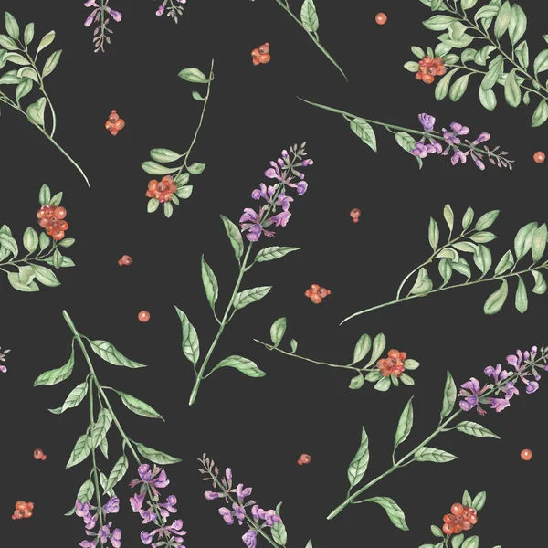 Nahtlose florale Aquarell-Preiselbeer- und Salvia-Blumenmuster — Stockfoto