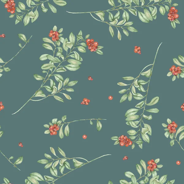 Seamless floral cowberry pattern — Stock Photo, Image