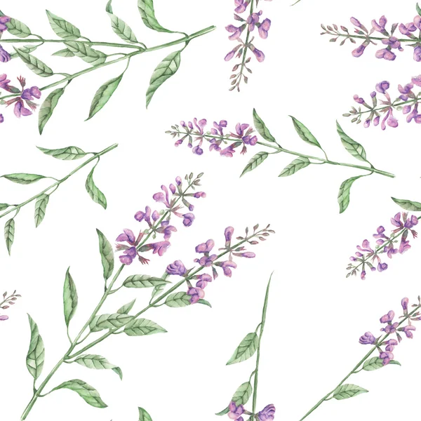 샐비어 꽃과 완벽 한 꽃 패턴 — 스톡 사진