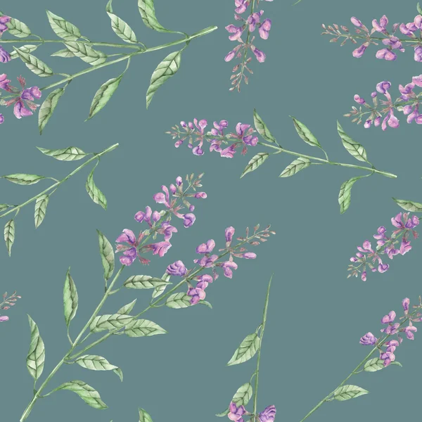 Seamless floral pattern with salvia flower — Stock Photo, Image