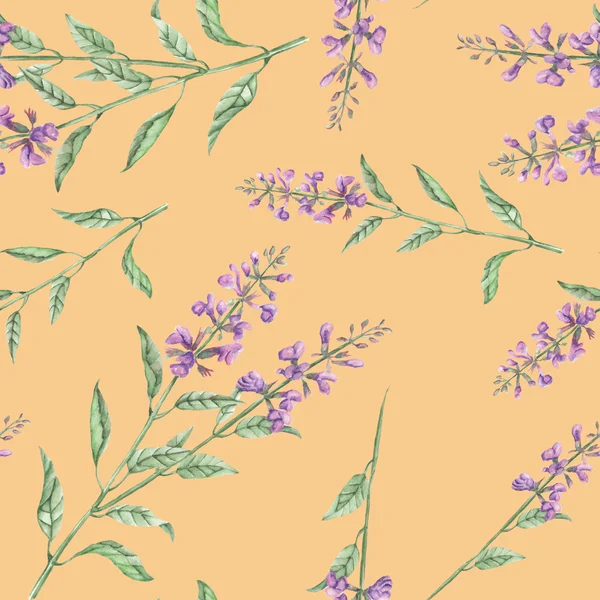 Motif floral sans couture avec fleur de salvia — Photo