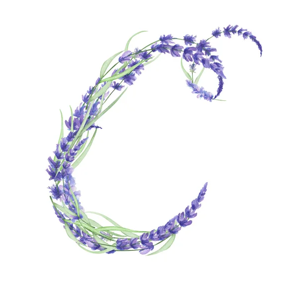 수채화 라벤더 꽃의 대문자 C, 흰색 배경, 웨딩 디자인에 그려진 고립 된 손 — 스톡 사진