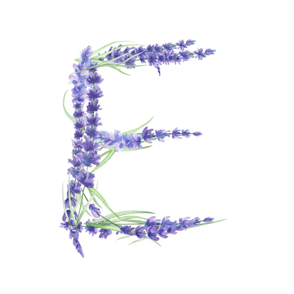 Letra maiúscula E de flores de lavanda aquarela, mão isolada desenhada em um fundo branco, design de casamento — Fotografia de Stock