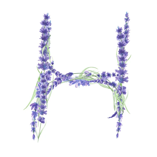 Lettera maiuscola H di fiori di lavanda acquerello, mano isolata disegnata su sfondo bianco, disegno di nozze — Foto Stock