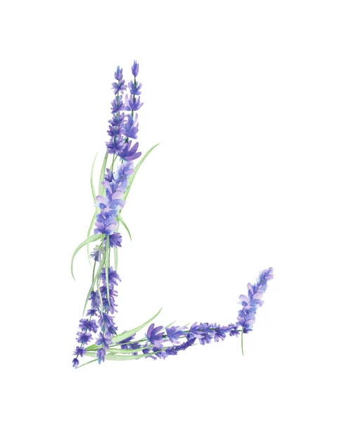 Lettera maiuscola L di fiori di lavanda ad acquerello, disegnati a mano isolata su sfondo bianco, disegno di nozze — Foto Stock