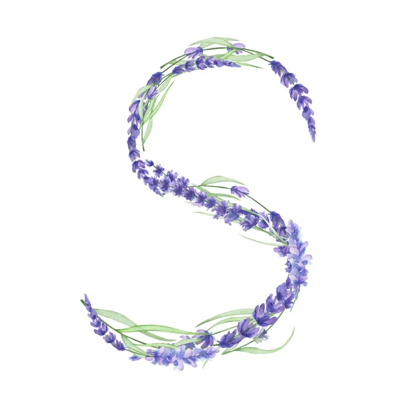 대문자 수채화 라벤더 꽃의 S, 흰색 배경, 웨딩 디자인에 그려진 고립 된 손 — 스톡 사진