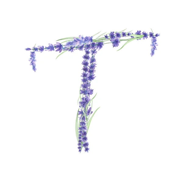 Lettera maiuscola T di fiori di lavanda acquerello, mano isolata disegnata su sfondo bianco, disegno di nozze — Foto Stock