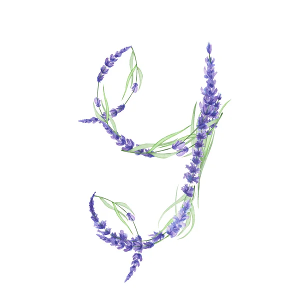 Κεφαλαίο γράμμα Y ακουαρέλα λεβάντα λουλούδια, απομονωμένες χέρι που σε λευκό φόντο, γάμο σχεδιασμό — Φωτογραφία Αρχείου