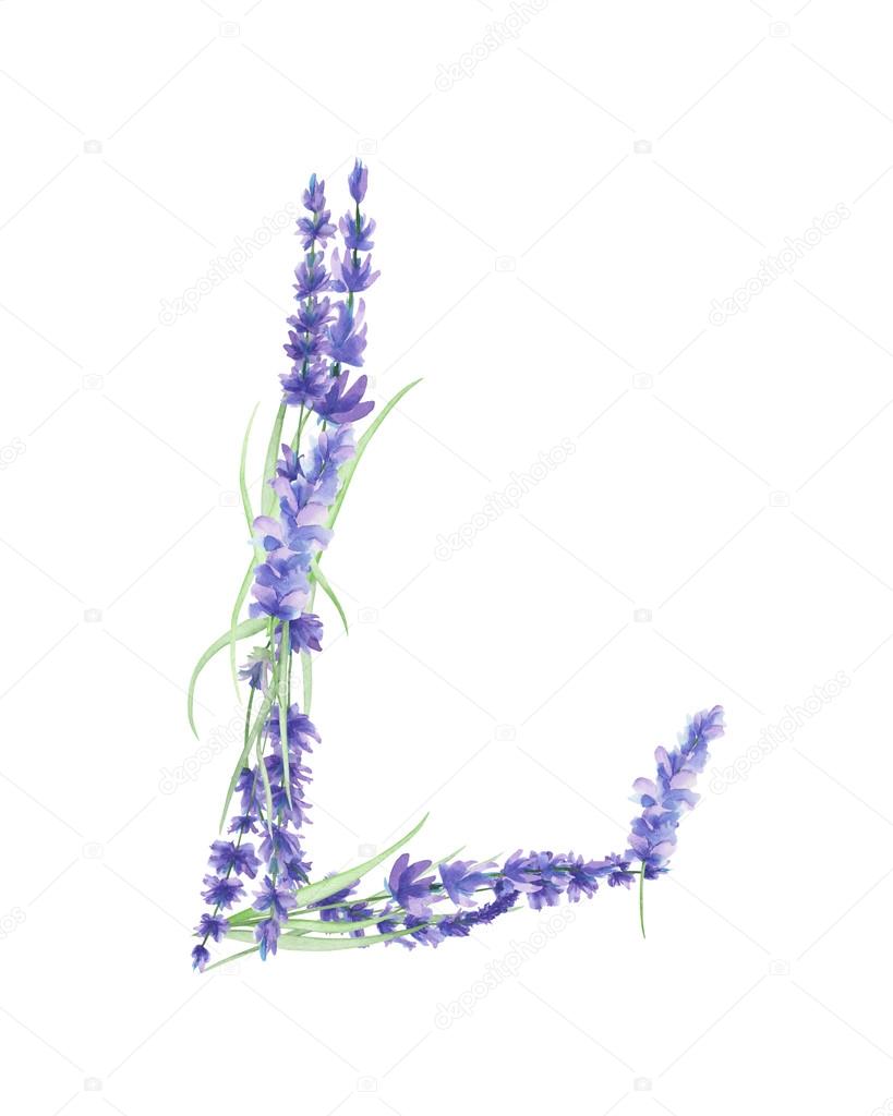 Capital letter L of watercolor lavender flowers, isolated hand drawn on a white background, wedding design, english alphabet for the festive and wedding decor and cards