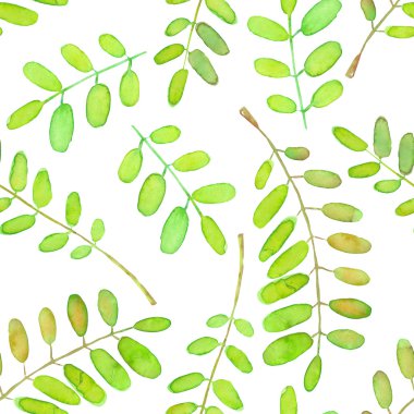 Yeşil suluboya akasya ile Seamless Modeli ağaç dalları