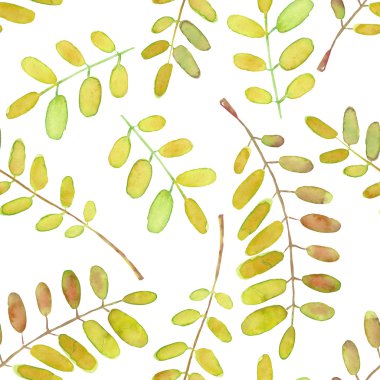 Suluboya akasya ağacı dalları ile Seamless Modeli