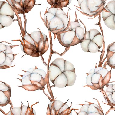 Seamless pattern of watercolor cotton flowers branches clipart