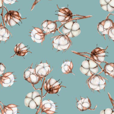 Seamless pattern of watercolor cotton flowers branches clipart