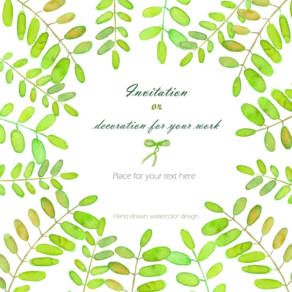 Background, template postcard with the acacia tree branches, hand drawn on a white background — Stock Photo, Image