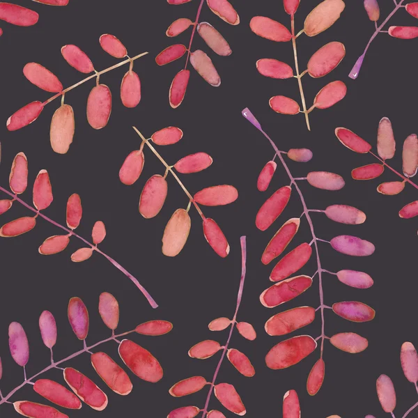 수채화 아카시아 나무 가지와 완벽 한 패턴 — 스톡 사진