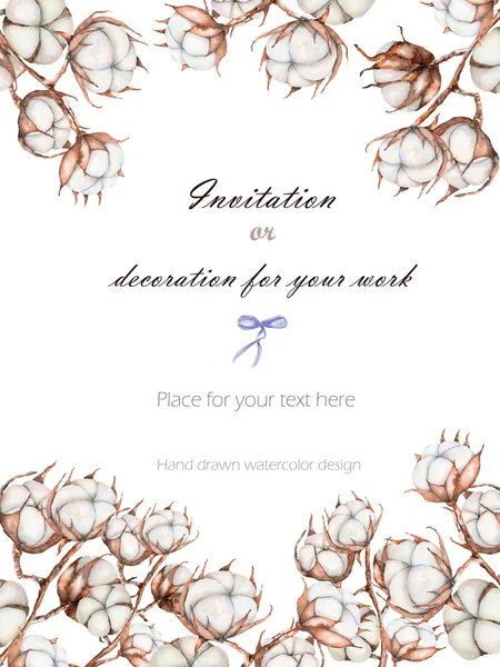 Background, template postcard with the cotton flowers branches, hand drawn on a white background — Stock Photo, Image
