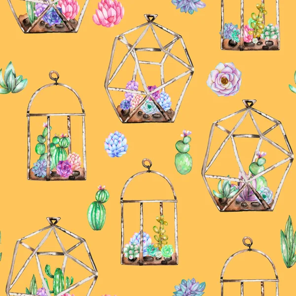 Varrat nélküli mintát florariums, akvarell pozsgás növények és cuctuses belül — Stock Fotó