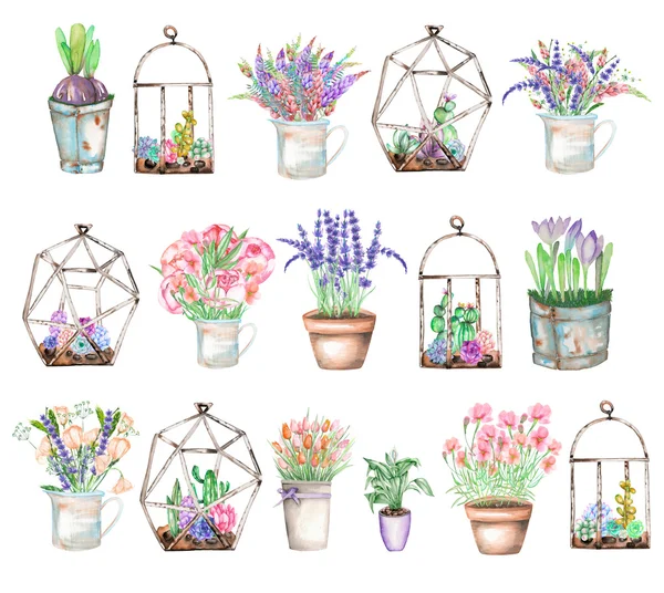 Een set van illustraties met aquarel boeketten van wilde bloemen in een rustieke pot, potten en florariums met vetplanten en cactussen — Stockfoto