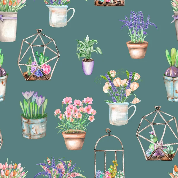 Bezešvé pattern s akvarel kytice lučních květin v rustikální hrnce a florariums se sukulenty — Stock fotografie