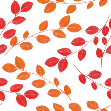 Kırmızı yaprakları ile suluboya dalları ile dikişsiz desen, beyaz bir arka plan üzerine boyanmış el