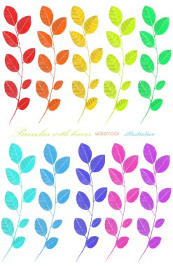 Set, yaprakları ile suluboya dalları toplama, el beyaz bir arka plan üzerine boyanmış