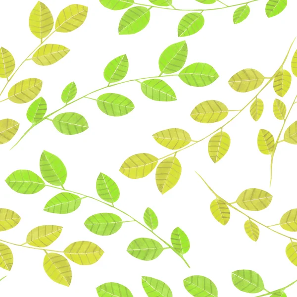 녹색 잎, 흰색 배경에 그려진 손으로 수채화 가지와 원활한 패턴 — 스톡 사진