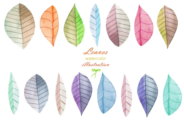 Set, collection of the watercolor leaves, hand painted on a white background — Stock Photo, Image