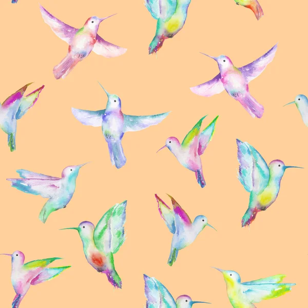 Seamless pattern of colored colibri — Stock Photo, Image