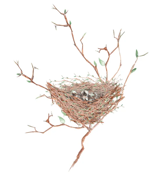 Ilustração do ninho de aves aquarela com ovos nos galhos das árvores, desenhado à mão sobre um fundo branco — Fotografia de Stock