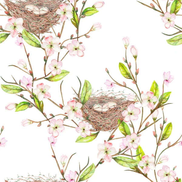 Seamless pattern of the watercolor bird nests on the branches with spring flowers, hand drawn on a white background — Stock Photo, Image