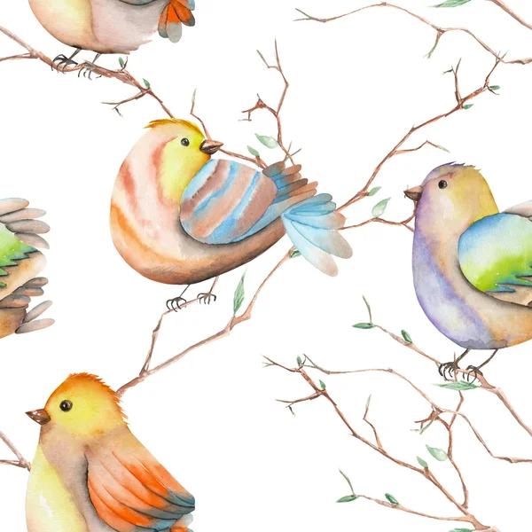 Patrón inconsútil de las aves acuarela en las ramas, dibujado a mano sobre un fondo blanco —  Fotos de Stock