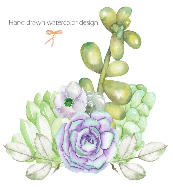En dekorativ bukett med akvarell Blom element: suckulenter, blommor, löv och grenar — Stockfoto