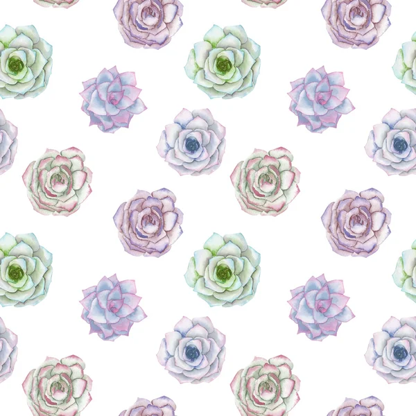 Seamless pattern with the watercolor tender mint and purple succulents — Stock Photo, Image