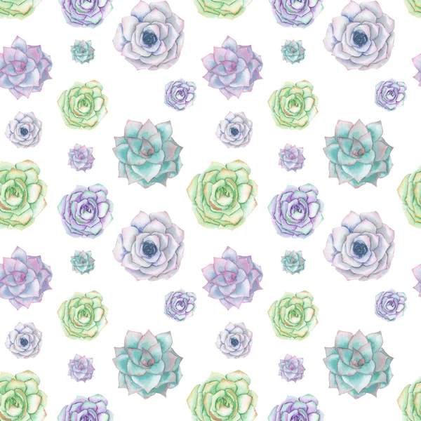 Nahtloses Muster mit zarter Minze und lila Sukkulenten im Aquarell — Stockfoto