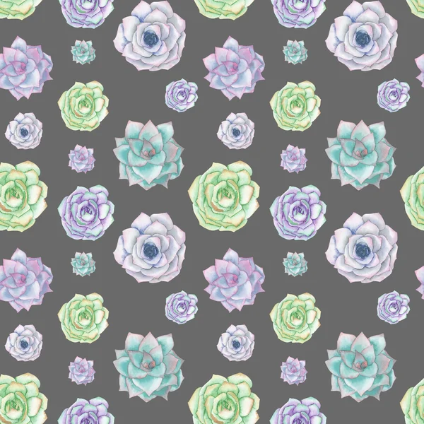 Seamless pattern with the watercolor tender mint and purple succulents — Stock Photo, Image
