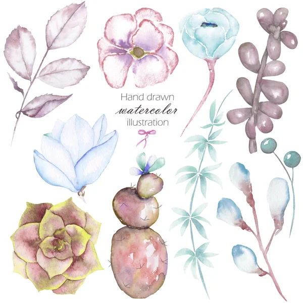 Zestaw z izolowanych akwarele kwiatowymi elementami: sukulenty, kwiaty, liście i gałęzie, ręcznie rysowane na białym tle — Zdjęcie stockowe