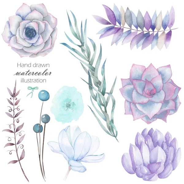 İzole suluboya çiçek öğelerle ayarla: succulents, çiçekler, yapraklar ve dallar, el beyaz bir arka plan üzerinde çizilmiş — Stok fotoğraf