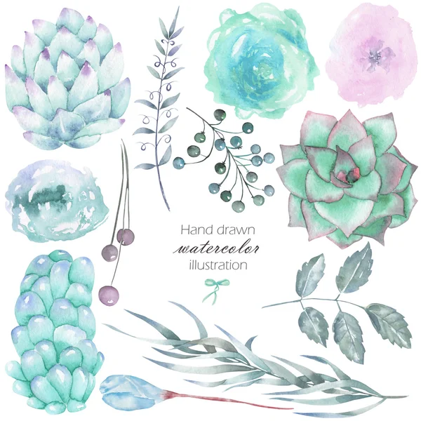 分離の水彩花の要素からなる集合: 多肉植物、花、葉、枝、手の白い背景の上に描画 — ストック写真