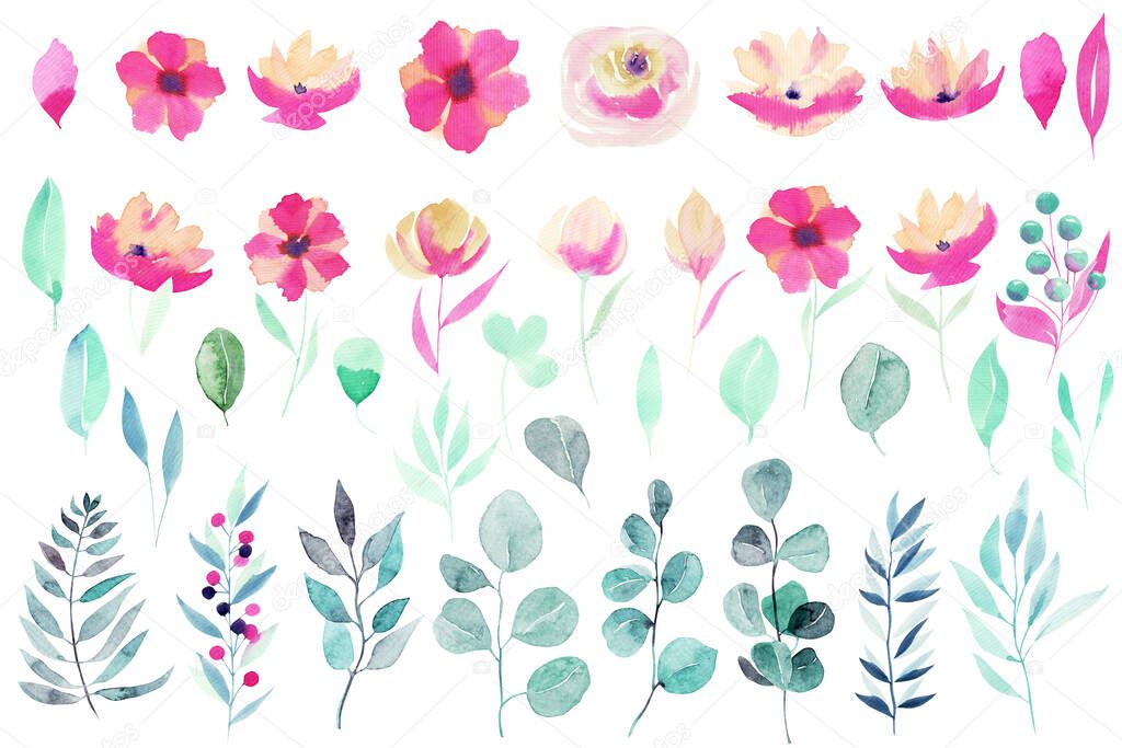 Set of watercolor spring plants: pink flowers, wildflowers, green leaves, branches and eucalyptus;  hand painted isolated illustrations on a white background