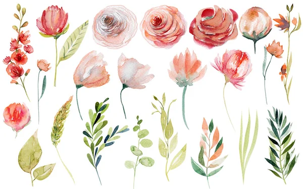 Set Von Aquarell Frühjahrspflanzen Rosa Und Rote Rosen Wildblumen Und — Stockfoto