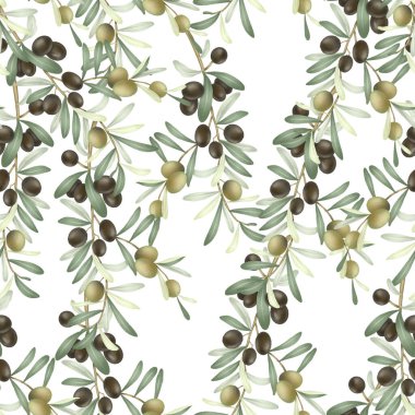 Yeşil ve siyah olgun zeytinlerle kusursuz zeytin dalları, beyaz arka planda elle çizilmiş resimler.