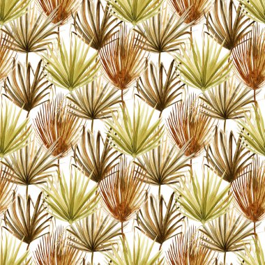 Kusursuz suluboya deseni kahverengi ve yeşil kurutulmuş yelpaze palmiyesi yaprakları, beyaz arkaplanda çizimler