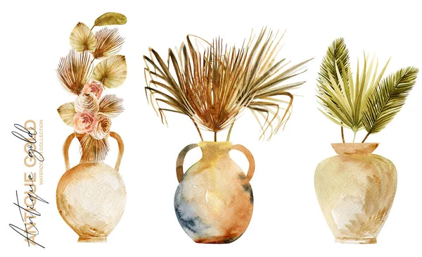 Ensemble Vases Anciens Aquarelle Poterie Avec Feuilles Fleurs Séchées Palmier — Photo