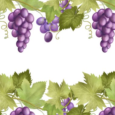 Card template of purple grapes, hand drawn illustration on white background