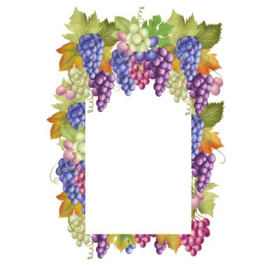 Fall fruit vertical frame of grapes and leaves, hand drawn isolated illustration on white background