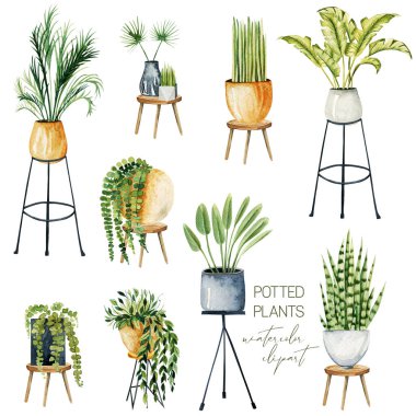 Set of watercolor potted plants, home plants collection, isolated hand drawn illustration on white background