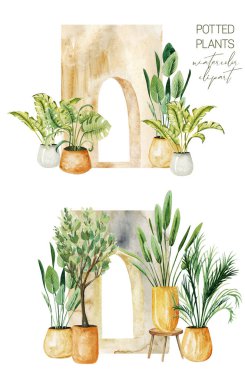 Interior scenes with green potted plants near the archway, home plants collection, hand drawn illustration on white background
